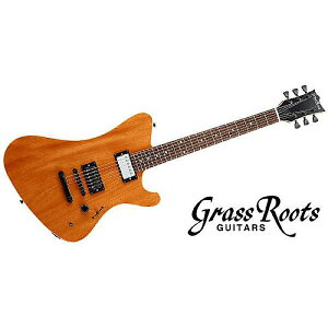 GRASS ROOTS ( OX[c ) / GrassRoots Signature Series RYU-TA Modelċx݃Z[