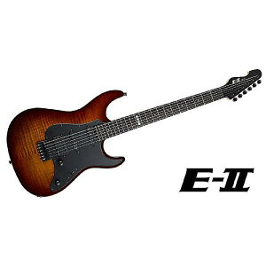 E-II ( C[c[ ) / SN-3 Tiger Eye Sunburstċx݃Z[