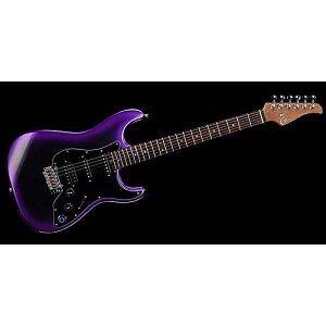 MOOER ( [A[ ) / GTRS P800 Dark Purpleċx݃Z[