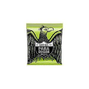 ERNIE BALL ( �A�[�j�[�E�{�[�� ) / Paradigm Regular Slinky ElectricGuitar Strings #2021�ċx�݃Z�[��