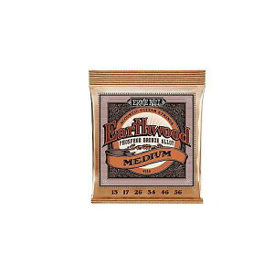 ERNIE BALL ( A[j[E{[ ) / EARTHWOOD MEDIUM PHOSPHOR BRONZE 13-56ċx݃Z[