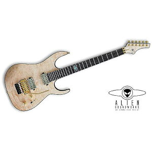 Alien Soundworks ( エイリアン・サウンドワークス ) / Solarian6 FR NT夏休みセール