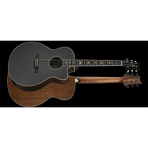 Paul Reed Smith (PRS) ( |[[hX~X ) / SE A20 Angeles Black Top [Gloss] / Satin Backċx݃Z[