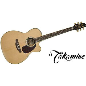TAKAMINE ( ^J~l ) / DMP761C Nċx݃Z[