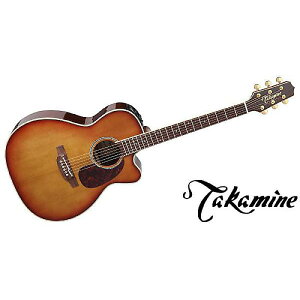 TAKAMINE ( ^J~l ) / DMP761C TBċx݃Z[