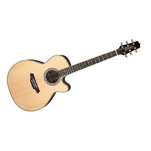 TAKAMINE ( ^J~l ) / PTU541C Nċx݃Z[
