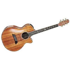 TAKAMINE ( ^J~l ) / DMP100K Nċx݃Z[