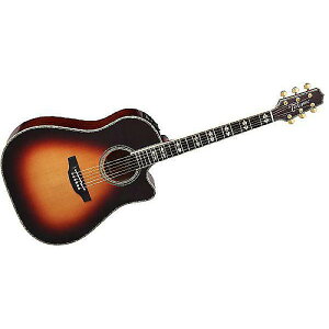 TAKAMINE ( ^J~l ) / DMP800 DASċx݃Z[