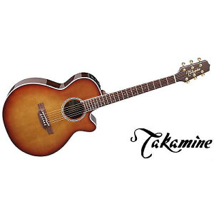 TAKAMINE ( ^J~l ) / DMP161C TBċx݃Z[