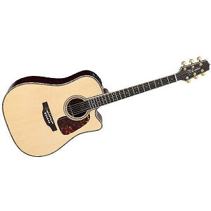 TAKAMINE ( ^J~l ) / DMP200 Naturalċx݃Z[