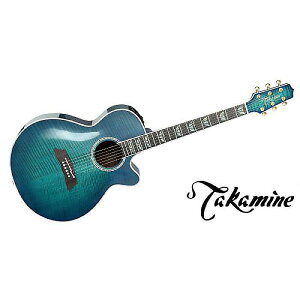 TAKAMINE ( ^J~l ) / FPT181AC SBBċx݃Z[