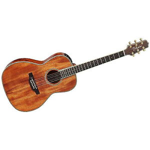 TAKAMINE ( ^J~l ) / DMP400 Naturalċx݃Z[