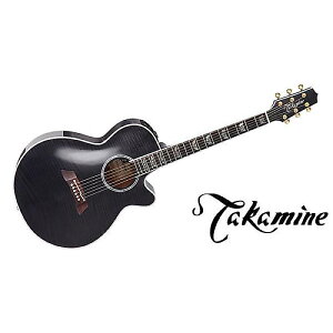TAKAMINE ( ^J~l ) / FPT181AC SBLċx݃Z[