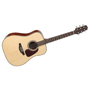 TAKAMINE ( ^J~l ) / SA241 Naturalċx݃Z[