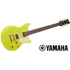 YAMAHA ( }n ) / RSE20 NYWċx݃Z[