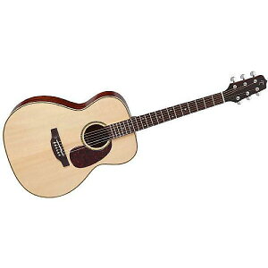 TAKAMINE ( ^J~l ) / SA741 Naturalċx݃Z[