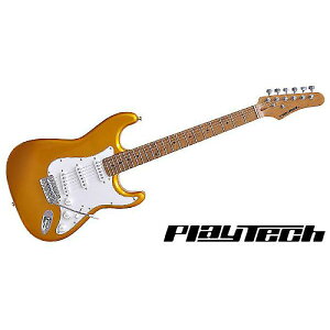 PLAYTECH ( vCebN ) / ST280 GoldyJ[{iCYhECvlbNzċx݃Z[