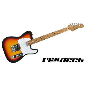 PLAYTECH ( vCebN ) / TL280 Sunburst yJ[{iCYhECvlbNzċx݃Z[