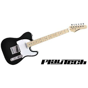 PLAYTECH ( vCebN ) / TL250 Maple Blackċx݃Z[