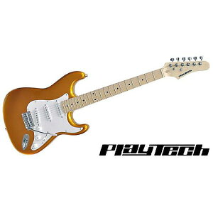 PLAYTECH ( vCebN ) / ST250 Maple Goldċx݃Z[