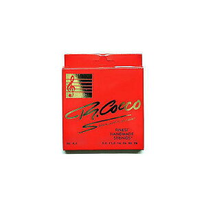 R COCCO ( `[hRR ) / RC9 1/2 6-String Electric Nickel round woundċx݃Z[