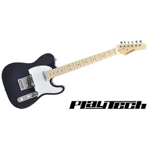 PLAYTECH ( vCebN ) / TL250 Maple Dark Blueċx݃Z[