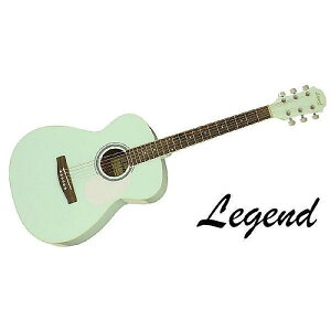 LEGEND ( WFh ) / FG-15 SFGRċx݃Z[