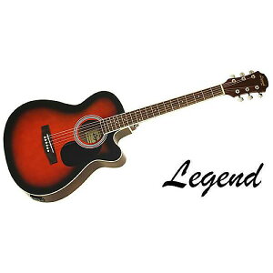 LEGEND ( WFh ) / FG-15CE BSċx݃Z[