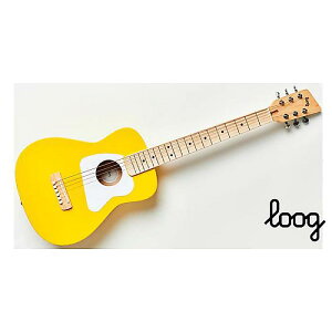 Loog ( [O ) / Pro VI Acoustic Yellowċx݃Z[