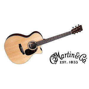 MARTIN ( }[eB ) / GPC-16E Rosewoodċx݃Z[