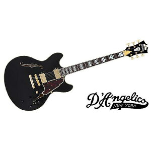 DAngelico ( fBAWFR ) / Excel DC Solid Blackċx݃Z[