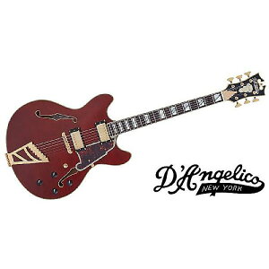 DAngelico ( fBAWFR ) / Excel DC Stairstep Violaċx݃Z[