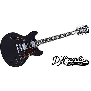 DAngelico ( fBAWFR ) / Premier Mini DC Black Flakeċx݃Z[