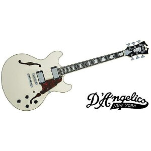 DAngelico ( fBAWFR ) / Premier Mini DC Champagneċx݃Z[