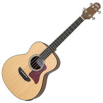 楽天市場】aria アリア ミニアコースティックギター asa-18 nの通販
