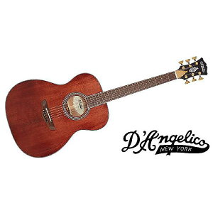 DAngelico ( fBAWFR ) / Excel Tammany XT, Walnut Stainċx݃Z[