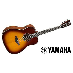 YAMAHA ( }n ) / FG-TA BSċx݃Z[