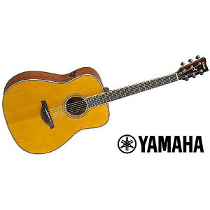 YAMAHA ( }n ) / FG-TA VTċx݃Z[