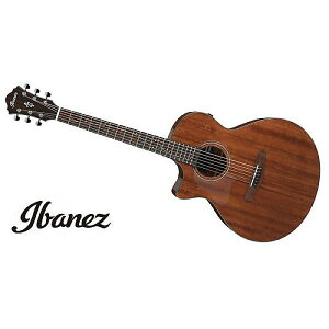 Ibanez ( アイバニーズ ) / AE295L-LGS夏休みセール