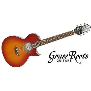 GRASS ROOTS ( OX[c ) / G-AC-45 Cherry Sunburstċx݃Z[