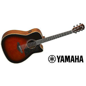 YAMAHA ( }n ) / A3M ARE TBSċx݃Z[