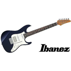 Ibanez ( ACoj[Y ) / AZ2204NW-DTBċx݃Z[