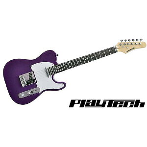 PLAYTECH ( vCebN ) / TL250 Rose Purpleċx݃Z[