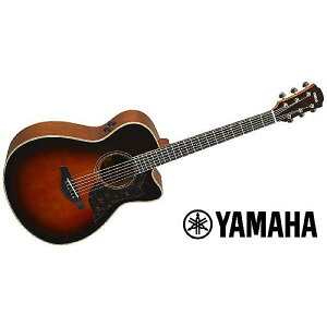 YAMAHA ( }n ) / AC3M ARE TBSċx݃Z[