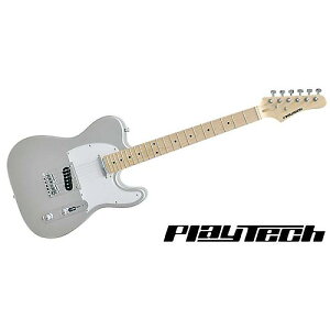 PLAYTECH ( vCebN ) / TL250 Maple Silverċx݃Z[