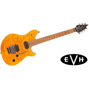 EVH ( C[uCGC` ) / Wolfgang WG STANDARD QUILT MAPLE Transparent Amberċx݃Z[
