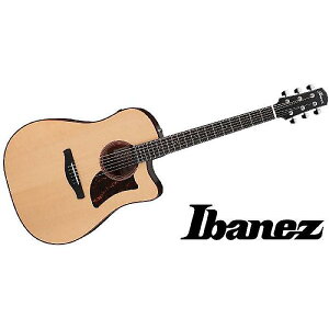 Ibanez ( ACoj[Y ) / AAD300CE-LGSċx݃Z[