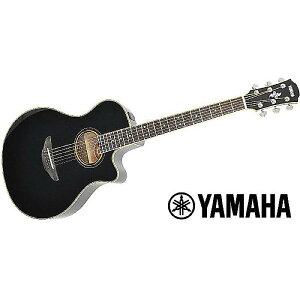 YAMAHA ( }n ) / APX700II BLċx݃Z[