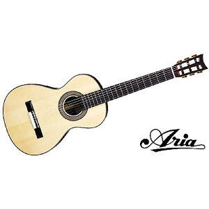 ARIA ( AA ) / A19C-100Nċx݃Z[