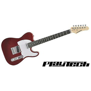 PLAYTECH ( vCebN ) / TL250 Rose Metallic Redċx݃Z[